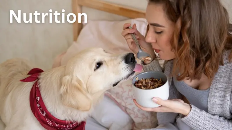 Nutrition for Dog