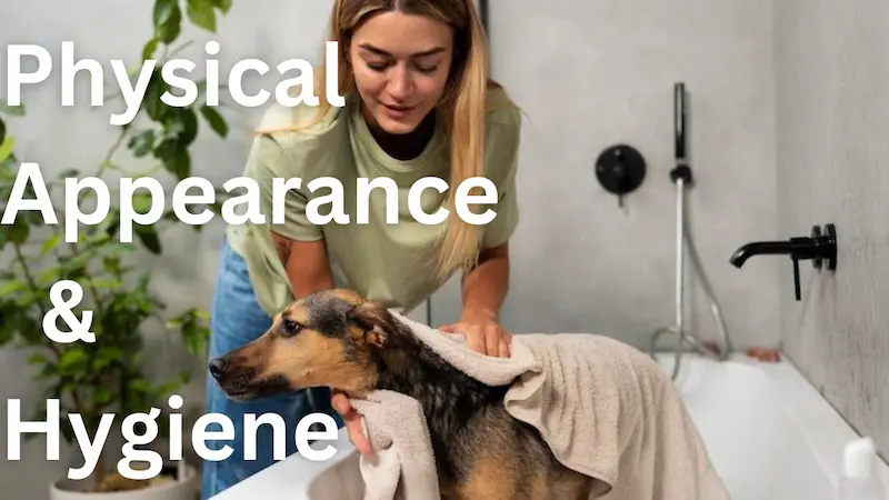 Hygiene of the Dog